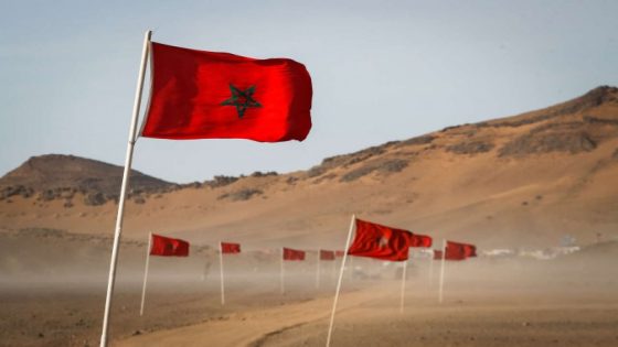 وزارة الخارجية المغربية ترحب بالقرار الأممي الخاص بملف الصحراء .