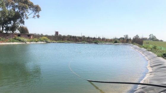 التدبير المعقلن للثورة المائية في الميدان الفلاحي