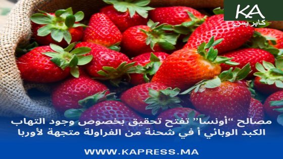 مصالح”أونسا”تفتح تحقيق بخصوص وجود التهاب الكبد الوبائي أ في شخنةمن الفرولة متجهة لأوروبا