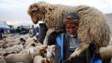 اجتهدوا رحمة بالفقراء يرحمكم الله