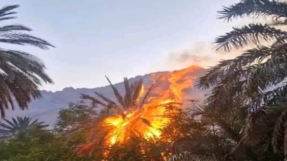 تنغير : اندلاع حريق كبير في واحة النخيل بمنطقة أيت عشا تزكي في تودغى العليا