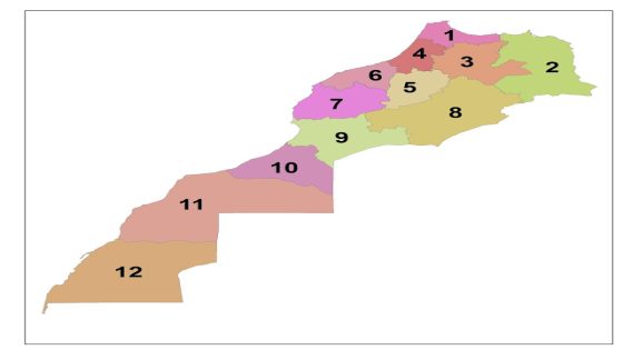 بداية موسم الانقلابات على رؤساء المجالس الترابية بعدد من جهات المملكة