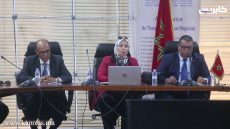 الإعلام الرقمي ديبلوماسية رقمية موازية للترافع عن قضية الصحراء المغربية.( فيديو)