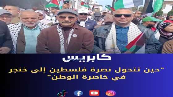 حين تتحول نصرة فلسطين إلى خنجر في خاصرة الوطن