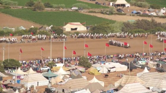 المحمدية : تنظيم موسم سيدي موسى المجدوب: مهرجان للفروسية بصيغة جديدة وهيكلة للفضاءات التجارية
