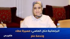 البرلمانية حنان الماسي: مسيرة عطاء وخدمة عام