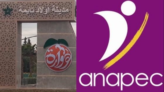 أولاد تايمة: بين الجمود الإداري والتحرك البرلماني، مستقبل التشغيل على المحك