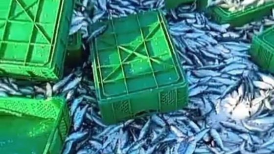 حادث انقلاب شاحنة محملة بالسردين على محور العيون–طانطان دون خسائر بشرية