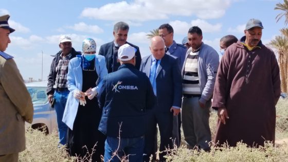 الرشيدية : الجرف تحتضن حملة ميدانية لمحاربة الفأر الأصهب والوقاية من داء الليشمانيا