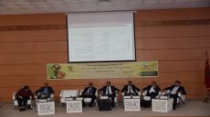 اولا تايمة : الواقع الفلاحي بجهة سوس ماسة: التحديات الراهنة وآفاق التنمية