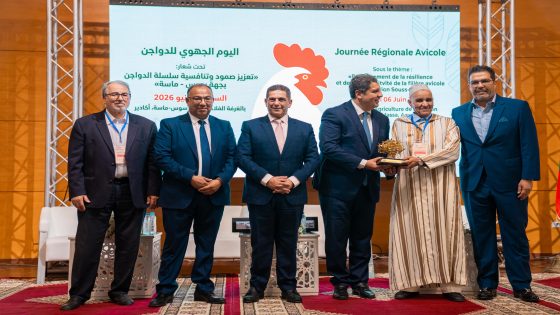 لقاء جهوي بأكادير لتعزيز صمود وتنافسية قطاع الدواجن بسوس ماسة