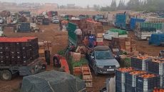سوق الجملة بأولاد تايمة: معركة “المكياج السياسي” وصراع الكواليس المنسية