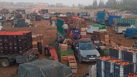 سوق الجملة بأولاد تايمة: معركة “المكياج السياسي” وصراع الكواليس المنسية