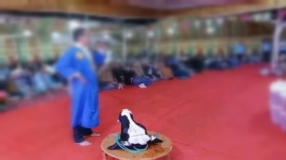 تارودانت : شراء الولاءات بطرق ملتوية يثير الجدل الانتخابي