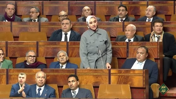 حنان الماسي.. حضور برلماني وشعبية جارفة تفتح لها آفاقاً سياسية جديدة داخل حزب البام